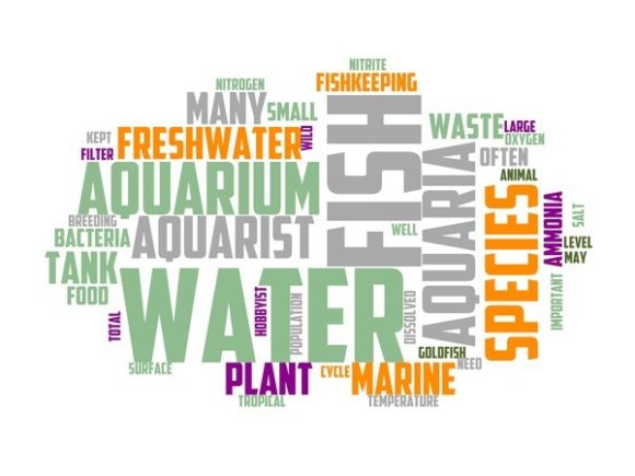 Fishkeeping Typography Crafting: Art Meets Aquatic Inspiration